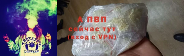 молекула духа Переславль-Залесский