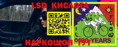 ГАЛЛЮЦИНОГЕННЫЕ ГРИБЫ Гусь-Хрустальный