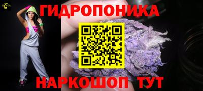 ГАЛЛЮЦИНОГЕННЫЕ ГРИБЫ Гусь-Хрустальный