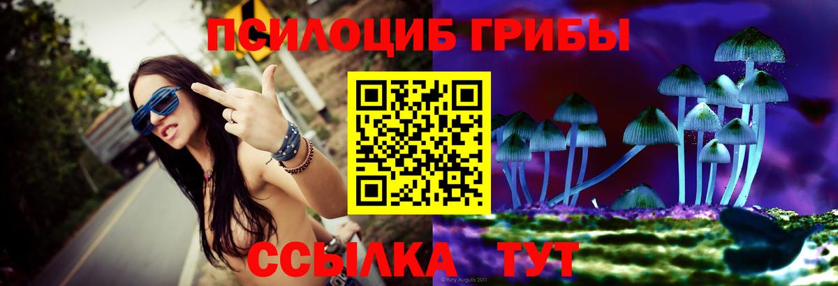 Галлюциногенные грибы Magic Shrooms  цена наркотик  Краснокаменск  Вход с VPN 